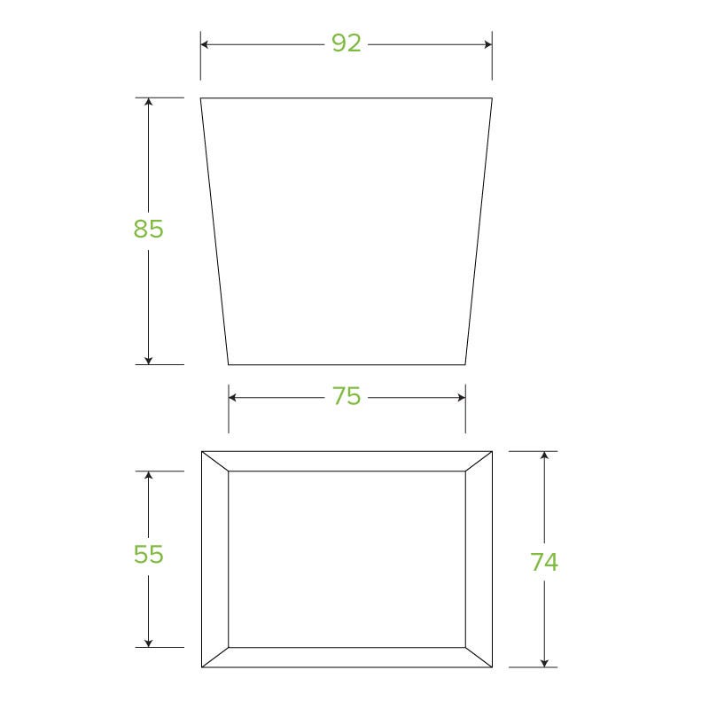 16oz BioBoard Noodle Box|16oz BioBoard Noodle Box Line Drawing