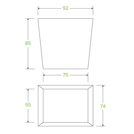 16oz BioBoard Noodle Box|16oz BioBoard Noodle Box Line Drawing